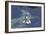 Space Shuttle Atlantis over the Bahamas-null-Framed Photographic Print