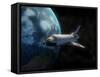 Space Shuttle Backdropped Against Earth-Stocktrek Images-Framed Stretched Canvas