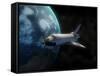 Space Shuttle Backdropped Against Earth-Stocktrek Images-Framed Stretched Canvas