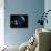 Space Shuttle Backdropped Against Earth-Stocktrek Images-Stretched Canvas displayed on a wall