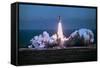Space Shuttle Challenger Blasting off into Sky-Bill Mitchell-Framed Stretched Canvas