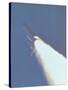 Space Shuttle Challenger Disaster-null-Stretched Canvas