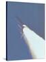 Space Shuttle Challenger Disaster-null-Stretched Canvas