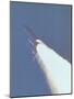 Space Shuttle Challenger Disaster-null-Mounted Photo