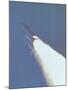 Space Shuttle Challenger Disaster-null-Mounted Photo