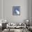 Space Shuttle Challenger Disaster-null-Framed Photo displayed on a wall