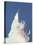 Space Shuttle Challenger Disaster-null-Stretched Canvas