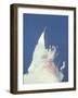 Space Shuttle Challenger Disaster-null-Framed Photo