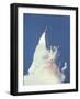 Space Shuttle Challenger Disaster-null-Framed Photo