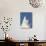 Space Shuttle Challenger Disaster-null-Photo displayed on a wall