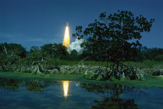 Photographic Print, , large