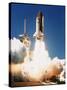 Space Shuttle Columbia-null-Stretched Canvas