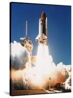 Space Shuttle Columbia-null-Stretched Canvas