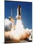 Space Shuttle Columbia-null-Mounted Premium Photographic Print