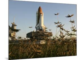 Space Shuttle Discovery at the Kennedy Space Center at Cape Canaveral, Florida, November 9, 2006-John Raoux-Mounted Photographic Print