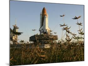 Space Shuttle Discovery at the Kennedy Space Center at Cape Canaveral, Florida, November 9, 2006-John Raoux-Mounted Photographic Print