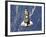 Space Shuttle Discovery-Stocktrek Images-Framed Premium Photographic Print