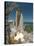 Space Shuttle Discovery-Stocktrek Images-Stretched Canvas