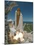 Space Shuttle Discovery-Stocktrek Images-Mounted Photographic Print