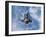 Space Shuttle Edeavour as Seen from the International Space Station, August 10, 2007-Stocktrek Images-Framed Photographic Print