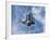 Space Shuttle Edeavour as Seen from the International Space Station, August 10, 2007-Stocktrek Images-Framed Photographic Print