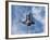 Space Shuttle Edeavour as Seen from the International Space Station, August 10, 2007-Stocktrek Images-Framed Photographic Print