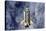 Space Shuttle Endeavor-Science Source-Stretched Canvas