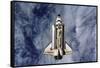 Space Shuttle Endeavor-Science Source-Framed Stretched Canvas