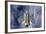 Space Shuttle Endeavor-Science Source-Framed Giclee Print