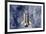 Space Shuttle Endeavor-Science Source-Framed Giclee Print