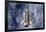 Space Shuttle Endeavor-Science Source-Framed Giclee Print