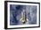 Space Shuttle Endeavor-Science Source-Framed Giclee Print