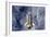 Space Shuttle Endeavor-Science Source-Framed Giclee Print