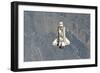 Space Shuttle Endeavour Backdropped by a Colorful Earth-null-Framed Photographic Print