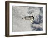 Space Shuttle Endeavour-Stocktrek Images-Framed Photographic Print