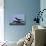 Space Shuttle Landing-null-Photographic Print displayed on a wall