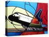 Space Shuttle Landing-Cindy Thornton-Stretched Canvas