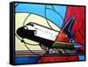 Space Shuttle Landing-Cindy Thornton-Framed Stretched Canvas