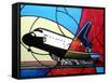 Space Shuttle Landing-Cindy Thornton-Framed Stretched Canvas