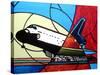 Space Shuttle Landing-Cindy Thornton-Stretched Canvas
