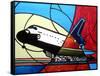 Space Shuttle Landing-Cindy Thornton-Framed Stretched Canvas