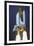 Space Shuttle (Lift Off)-null-Framed Photo