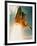 Space Shuttle Lifting Off-David Bases-Framed Photographic Print