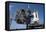 Space Shuttle on Launch Pad-null-Framed Stretched Canvas