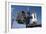 Space Shuttle on Launch Pad-null-Framed Photographic Print