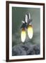Space Shuttle Taking Off Amongst Grey Smoke and Clouds-null-Framed Art Print