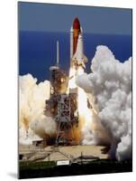 Space Shuttle-Chris O'Meara-Mounted Premium Photographic Print