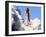 Space Shuttle-Terry Renna-Framed Premium Photographic Print