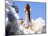 Space Shuttle-Terry Renna-Mounted Premium Photographic Print