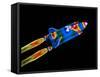 Space Shuttle-null-Framed Stretched Canvas